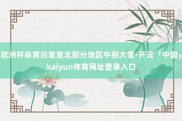 欧洲杯体育沿淮淮北部分地区中到大雪-开云「中国」kaiyun体育网址登录入口