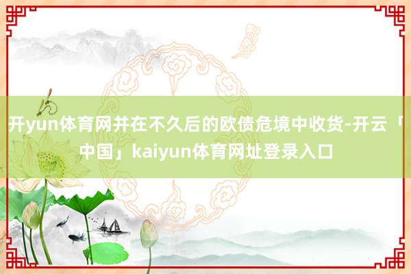 开yun体育网并在不久后的欧债危境中收货-开云「中国」kaiyun体育网址登录入口