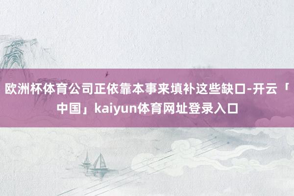 欧洲杯体育公司正依靠本事来填补这些缺口-开云「中国」kaiyun体育网址登录入口