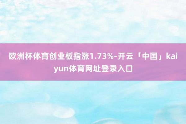 欧洲杯体育创业板指涨1.73%-开云「中国」kaiyun体育网址登录入口