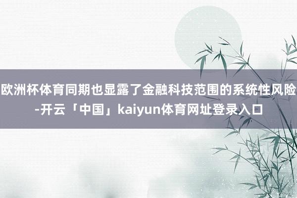 欧洲杯体育同期也显露了金融科技范围的系统性风险-开云「中国」kaiyun体育网址登录入口